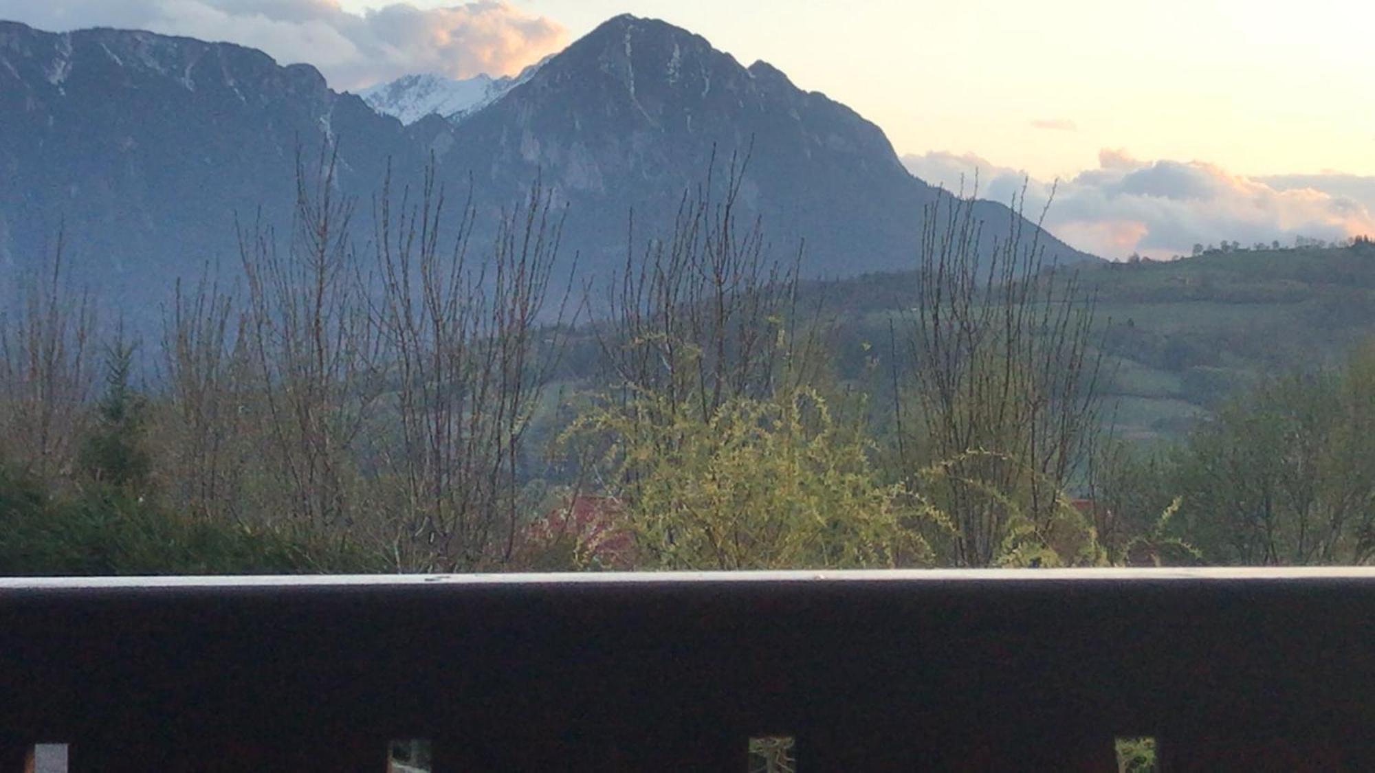 Pension Chalet Poiana Marului Ranch Eksteriør billede