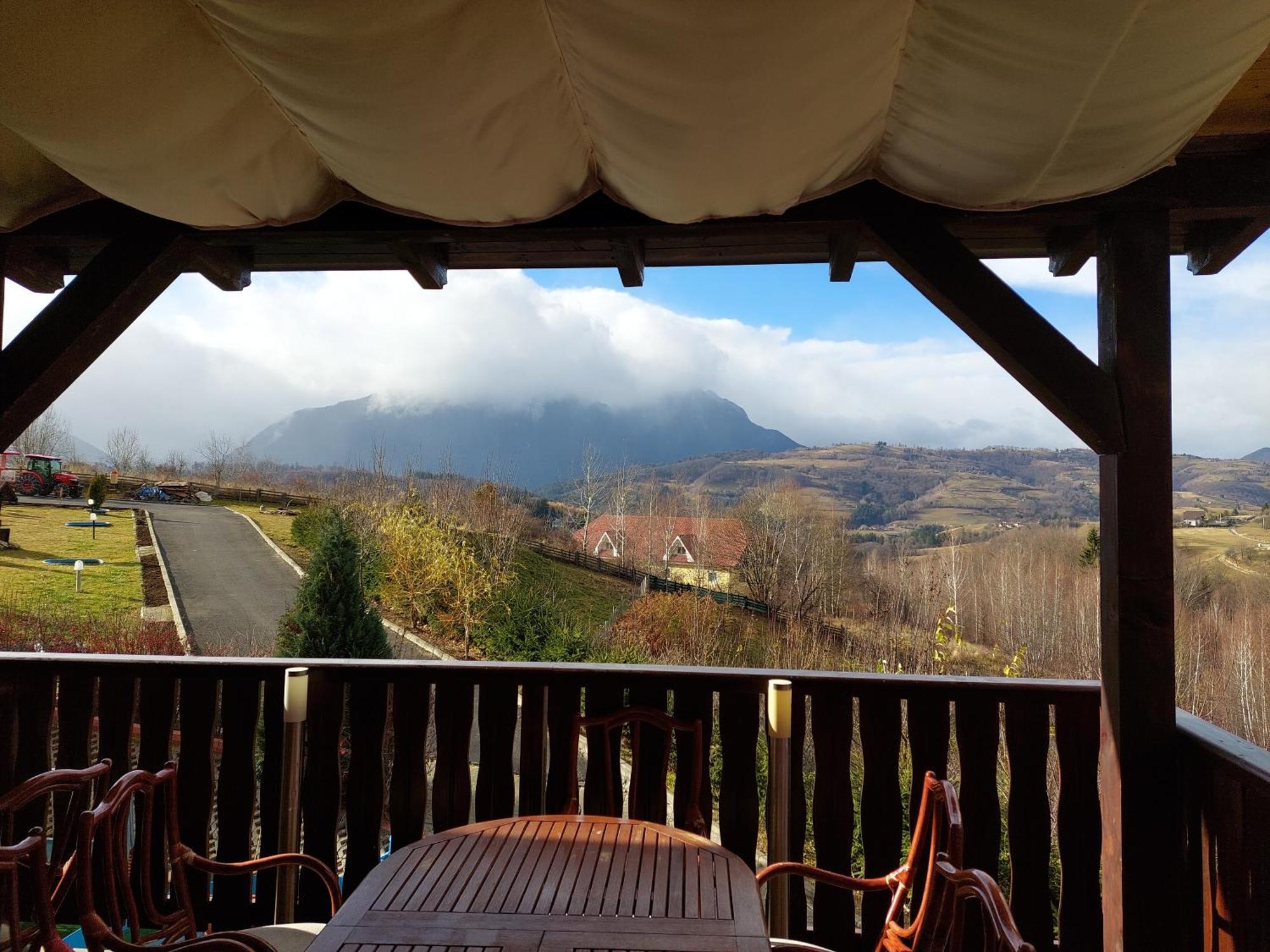 Pension Chalet Poiana Marului Ranch Eksteriør billede