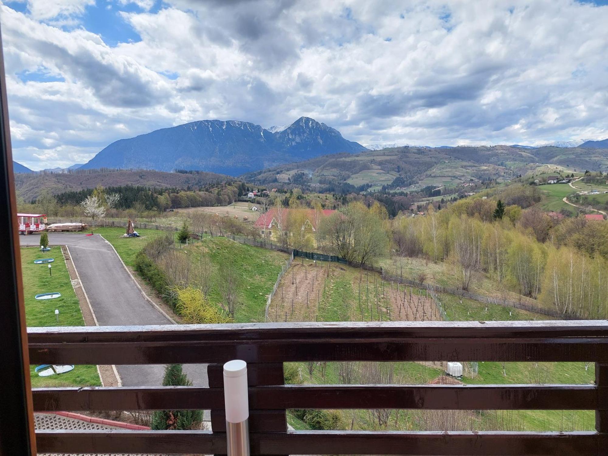 Pension Chalet Poiana Marului Ranch Eksteriør billede